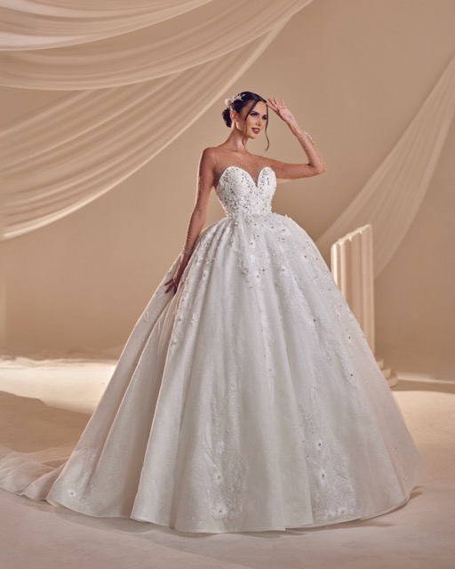 Mittel (wf-5kasım2025---119097)