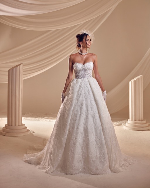 Mittel (wf-5kasım2025---119737)